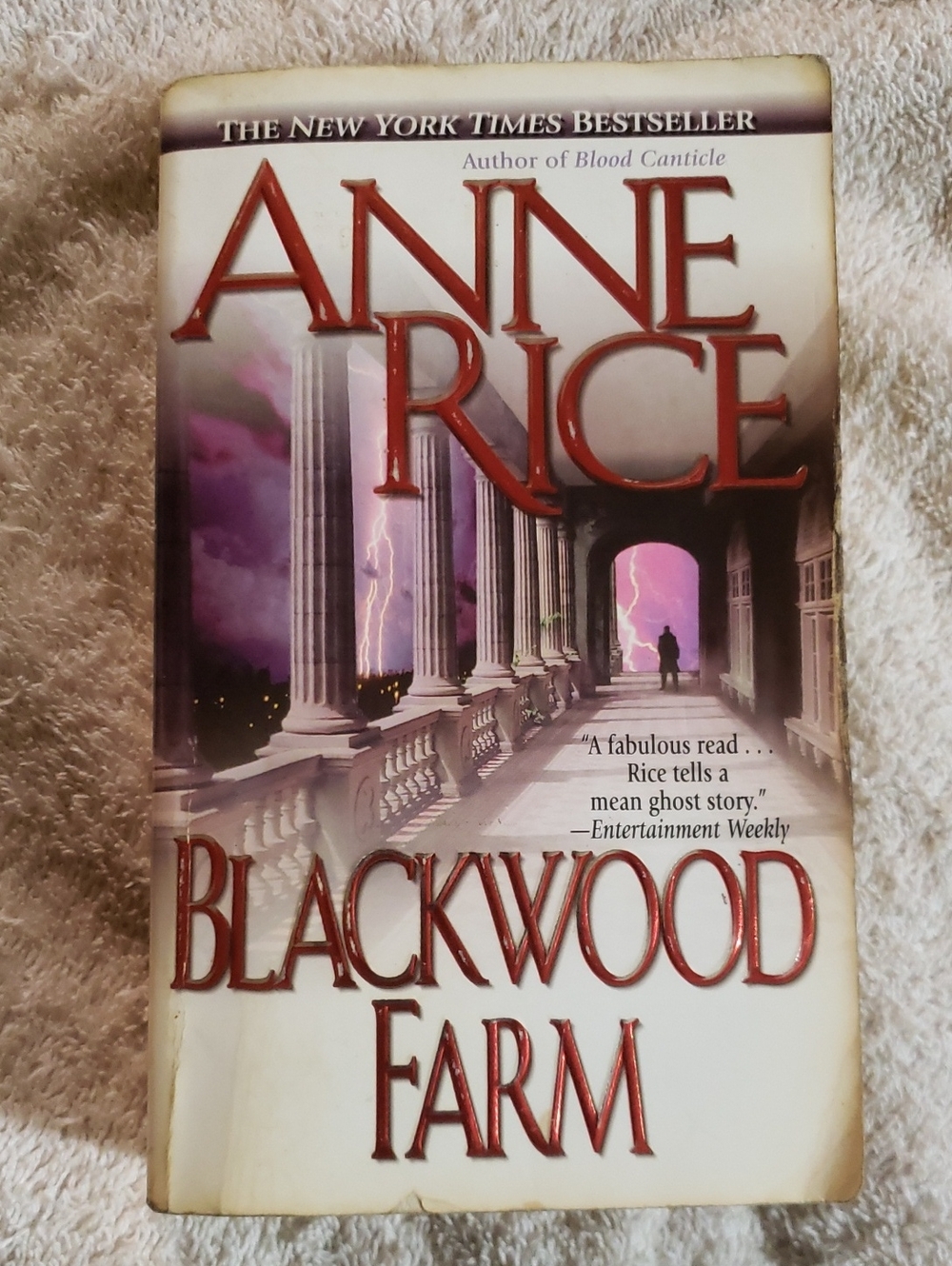 📚4 For $20 - Anne Rice — Blackwood Farm Paperback Book